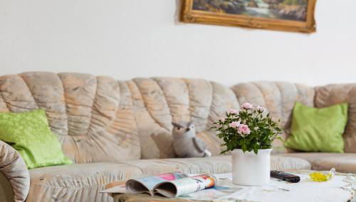 Ferienwohnung Harzblick - Foto 4