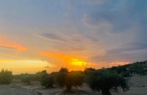 Renbeck lets 1 - Foto 10