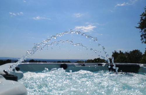 Gîte Lavande vue Luberon 33 hectares piscine Spa Sauna au cœur de Provence - Foto 6