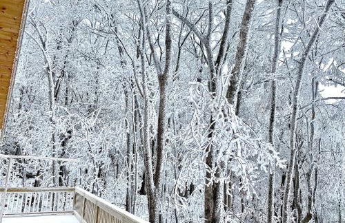 Jasper Mountain Lodge - Foto 35