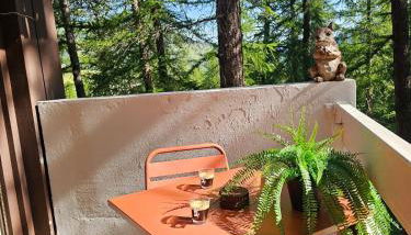 Studio 25m2 Vars, Chambeyron, Pied de Piste et Confort - Foto 3, Garden view