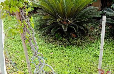 Villa Stella Maris - Foto 41