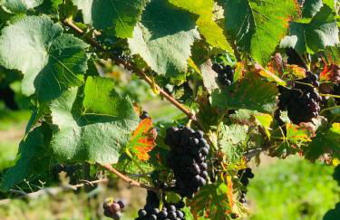 SEEnsation - Foto 33