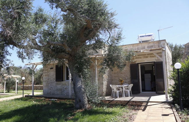 Tenuta San Lorenzo - Photo 29