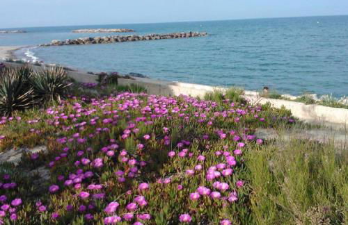 Barcaresa-Charmant T 2 vue mer pied dans l'eau - Photo 12