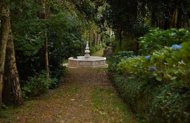 Fonte Baxa Garden Guided Tour - Foto 5