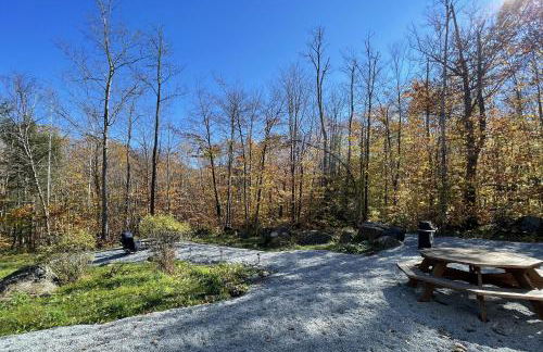 Spacious, Sunny Lake House! Close to ski trails. - Foto 30