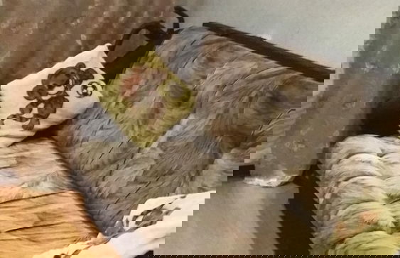 Apartments Krulenko 15 - Foto 34