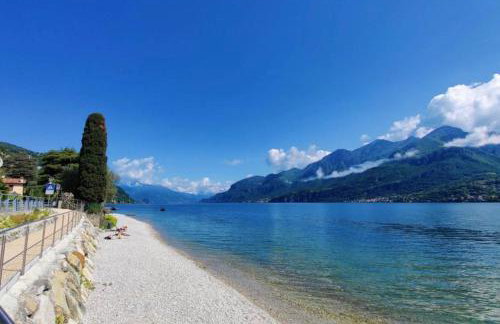 La coccinella - Foto 6