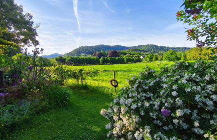 Ferienwohnung Belchenblick - Foto 20