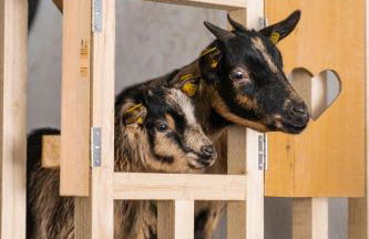 Preindlerhof Haylofts - Photo 62