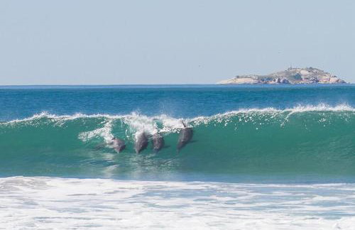 Apartamento Vista Bela - Foto 17