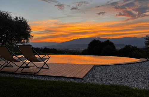 GATTO IN VIGNA - Foto 45