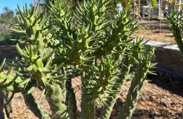 Ocean View Tenerife South Coast - Foto 21