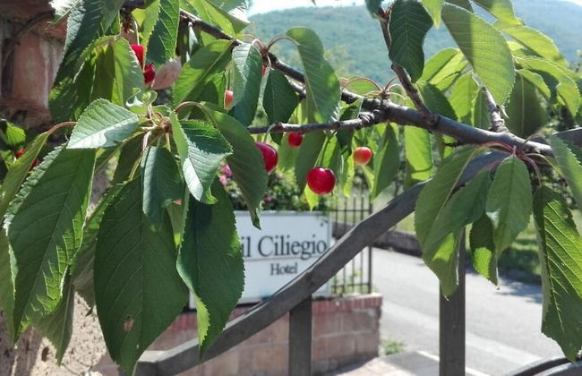 Hotel Il Ciliegio - Foto 25