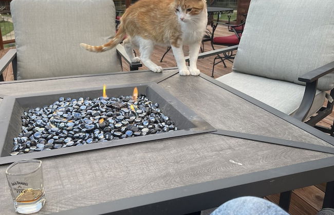 Eycat Lodging Company - Foto 15