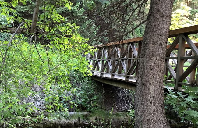 Treehouse by the Stream - Photo 20