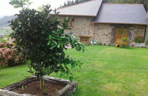 La casa de atrás - Foto 60