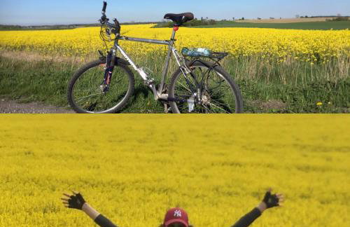 La Petite France - Foto 45