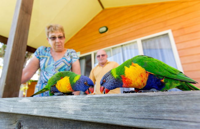 BIG4 Batemans Bay At Easts Riverside Holiday Park - Photo 57