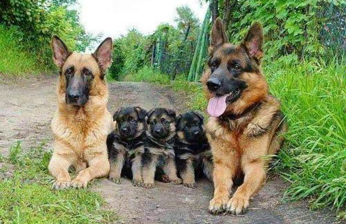 House with Shared Pool in Águeda, Mountain View - Foto 61