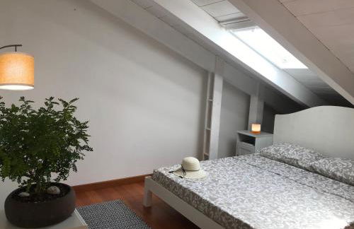 Tartaruga House - Foto 14