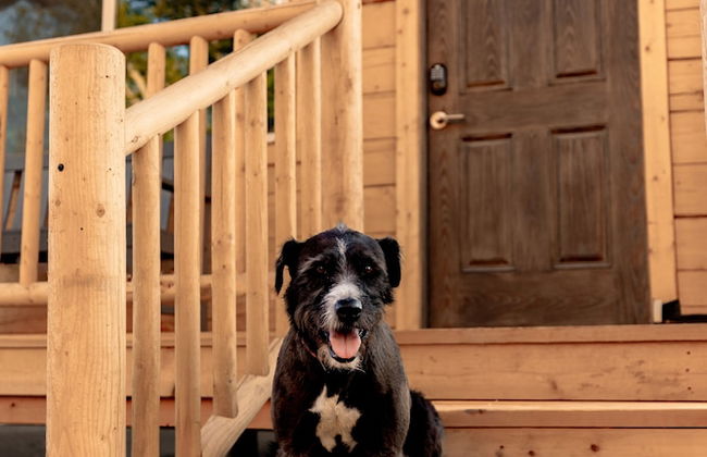 Muddy Creek Mining Company - Foto 38