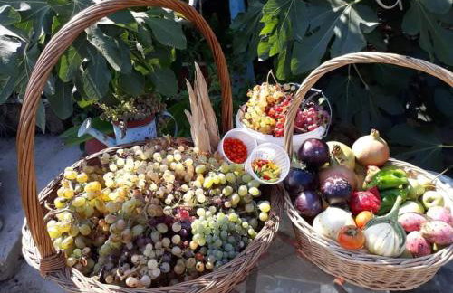 Secret Garden, a little paradise of tranquility. - Photo 27