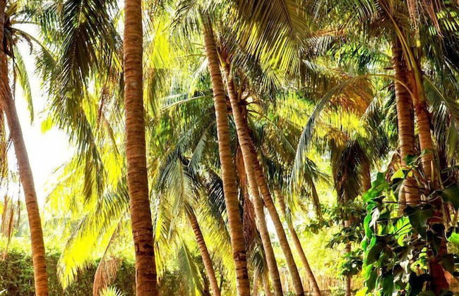 Suites Punta Arena Surf - Foto 62