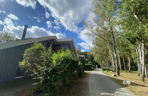 Wildgans 85 - Foto 29