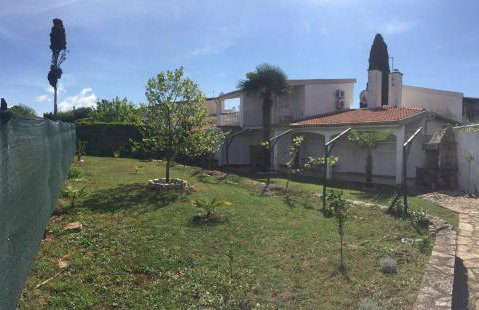 Guest House Mareda Palms - Photo 14