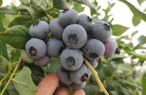 Agritur Belsogno B&B - Foto 84