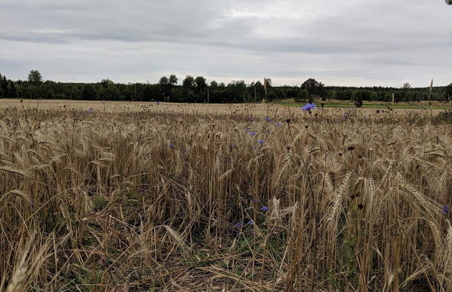 8 Person Holiday Home in Morlunda-by Traum - Photo 11