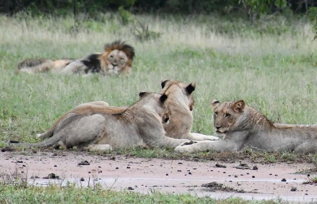 Rhino's Rest Private Luxury Villa - Photo 24