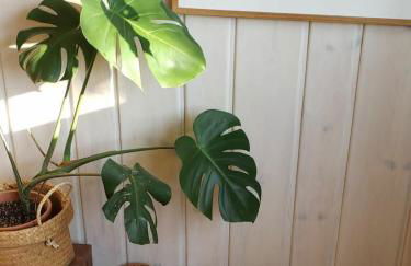 New- Farm view-Winter escape with cozy fireplace - Foto 36