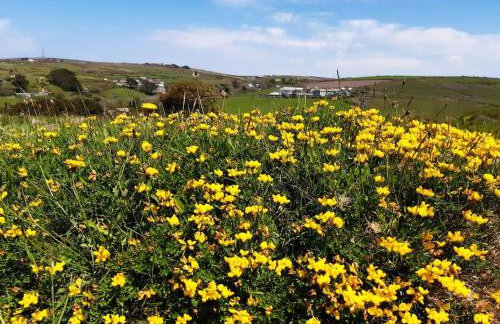 Corvus - Beautiful cottage half a mile from Mousehole - Photo 65