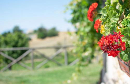 Agriturismo Torre Gialluise - Photo 73