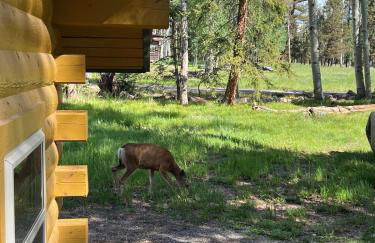 Arrowhead Getaway In Cimarron - Foto 38