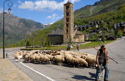 Apartament Dúplex amb encant a l'alta muntanya - Saraís - Foto 8