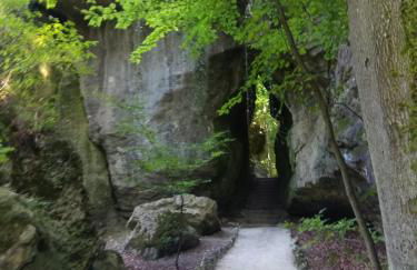 Ferienwohnung am Weissenstädter See - Foto 27