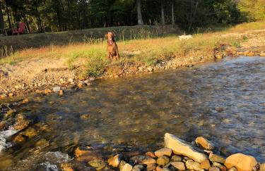 Collier Cabin on Collier Creek - Foto 60