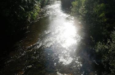 Lisi Zakątek - Foto 45