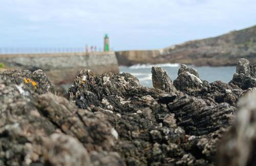 Casa Fernanda Viavélez - Foto 8