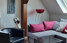 Drachenburg - Foto 29