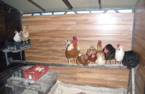 Casa Rural Basajarau - Photo 34