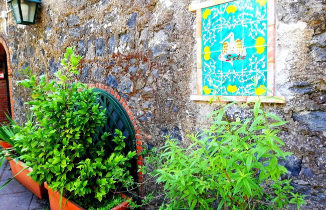 Cirasellaetna - Foto 35