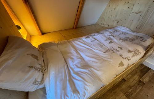 Chalet 6-8 pers St Lary Alt1700m -100mdespistes classé 4 étoiles - Photo 28