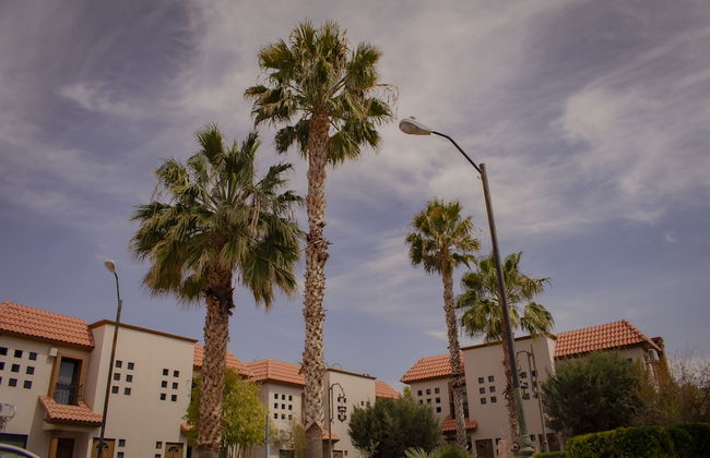 Suites Cervantes - Foto 61