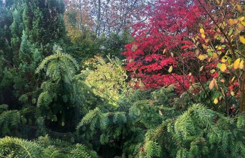 Meadowside, Troutbeck Bridge with offsite health club - Photo 24