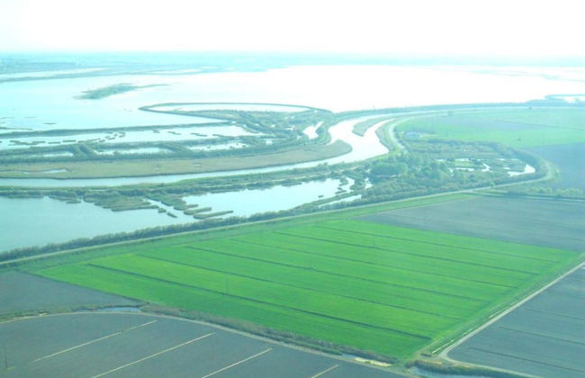 Characteristic Apartment in Codigoro With Pool - Foto 55